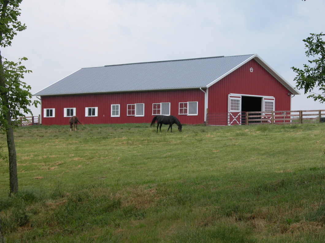 Metal Horse Barn