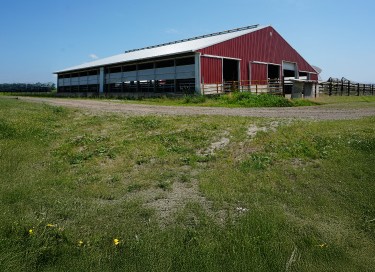 Dairy stall building with steel siding, open sidewalls, and livestock access areas in rural farm setting