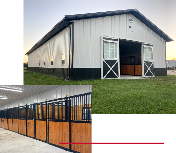 Design and Structure Customization