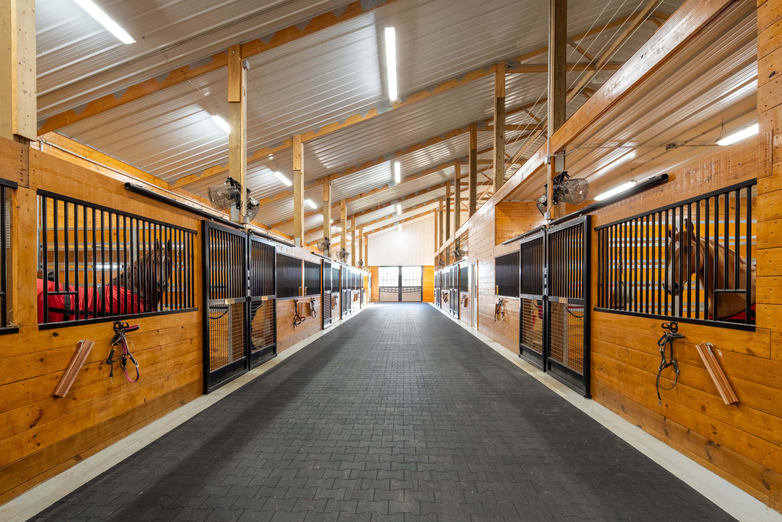 Horse stall barn interior at The Settlement Equestrian Center with horses in premium stalls and a wide center aisle