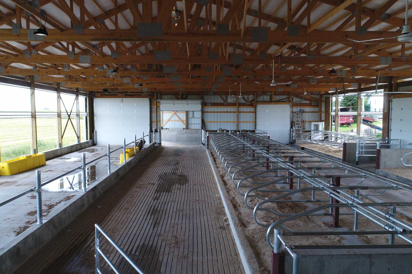 Interior dairy stalls